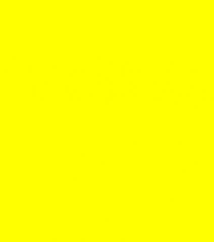 YELLOW.JPG